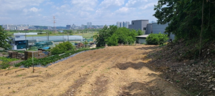 2024타경70073 · 경기도 파주시 하지석동 157-3