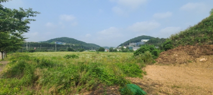 2024타경73935 임야 · 경기도 파주시 월롱면 덕은리 772-7