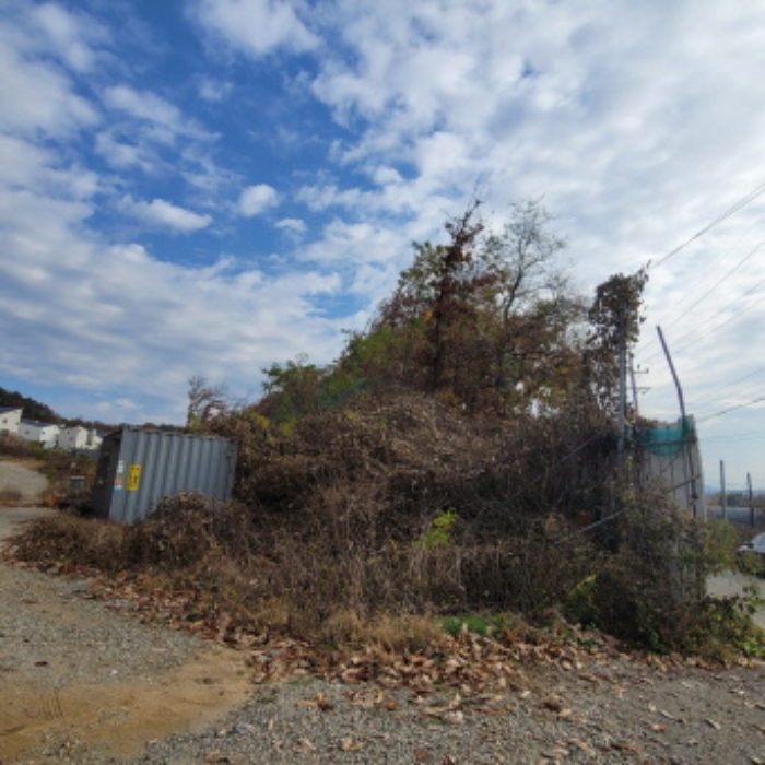 2024타경8276 임야 · 경기도 파주시 조리읍 장곡리 427-79
