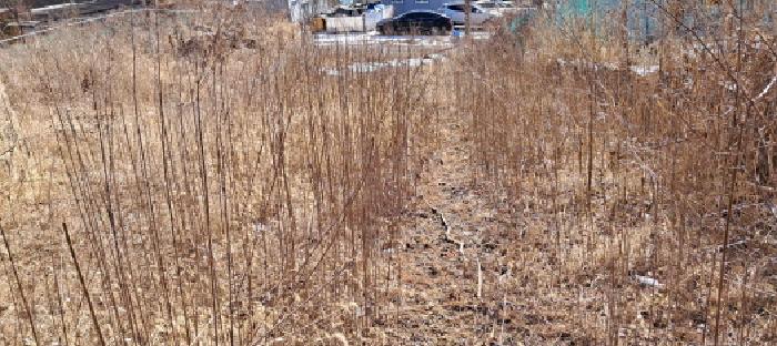 2025타경61847 대지 · 경기도 파주시 파주읍