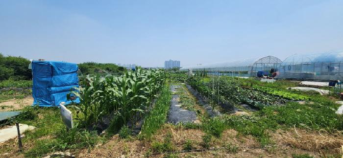 2025타경63174 전답 · 경기도 고양시 일산서구 대화동