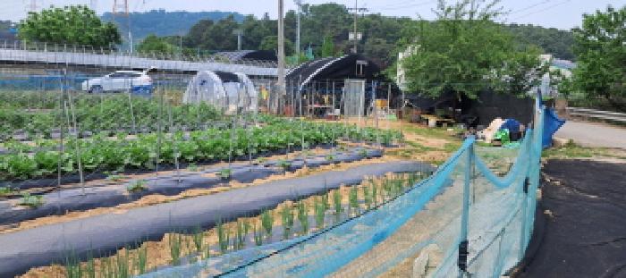 2025타경63177 · 경기도 고양시 덕양구 대자동 473-21