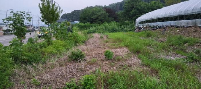 2025타경63828 대지 · 경기도 파주시 적성면