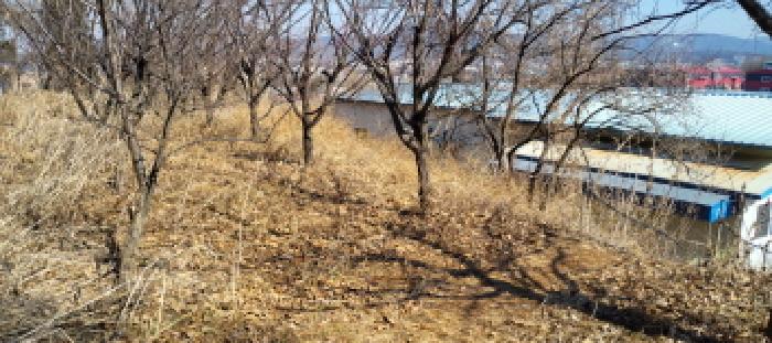 2026타경60280 임야 · 경기도 고양시 일산동구 지영동