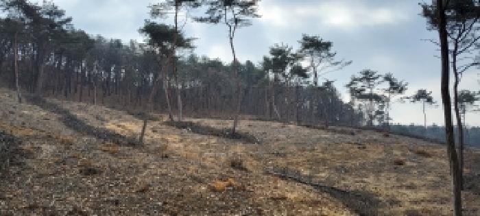 2026타경60331 임야 · 경기도 고양시 덕양구 대자동 산40