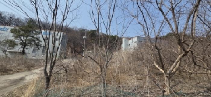 2026타경60532 · 경기도 파주시 검산동