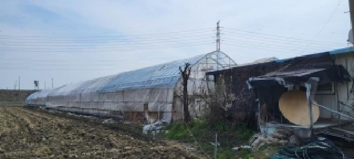 2026타경60884 전답 · 경기도 파주시 파주읍 봉암리 1048
