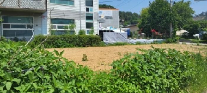 2026타경61325 전답 · 경기도 고양시 덕양구 대자동 828-8