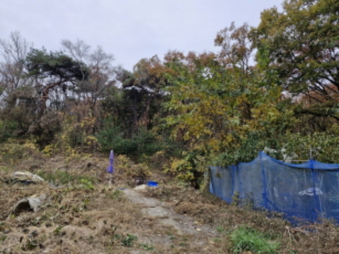 2024타경5151 임야 · 경기도 시흥시 대야동 산147-3