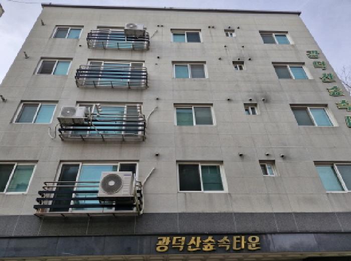 2025타경1001 다세대연립 · 경기도 안산시 상록구 월피동 499 5층501호