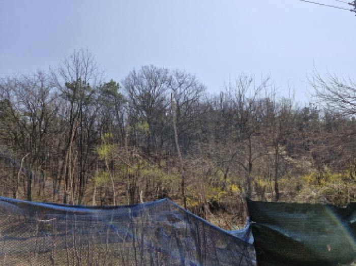 2025타경51936 임야 · 경기도 안산시 상록구 사사동 산59-4