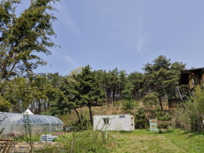 2025타경52156 임야 · 경기도 안산시 단원구 대부남동 산192-3
