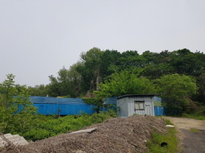 2025타경52166 임야 · 경기도 시흥시 조남동 306-384