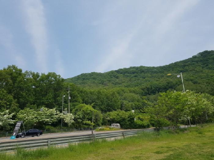 2025타경52285 임야 · 경기도 광명시 일직동 산38