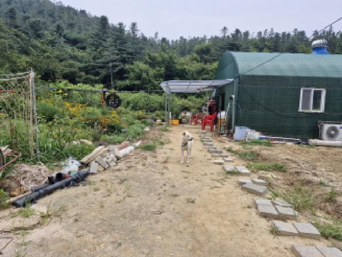 2025타경52952 전답 · 경기도 안산시 단원구 대부북동 1577