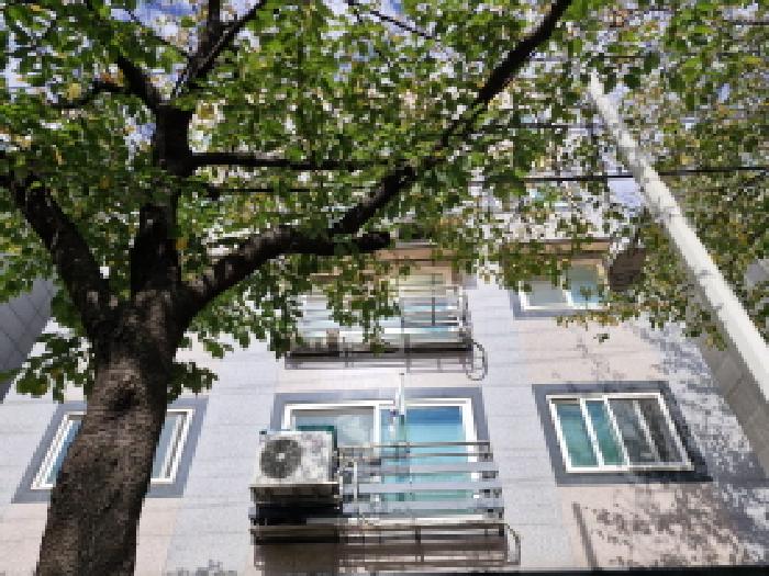 2025타경53450 다세대연립 · 경기도 안산시 상록구 부곡동 636-8 삼미하이츠빌 4층401호