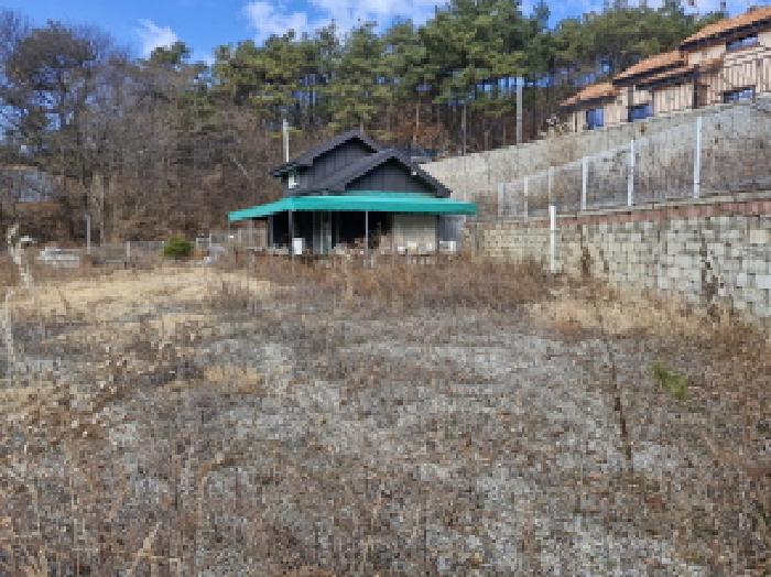 2025타경53761 임야 · 경기도 안산시 단원구 대부북동 1506-16