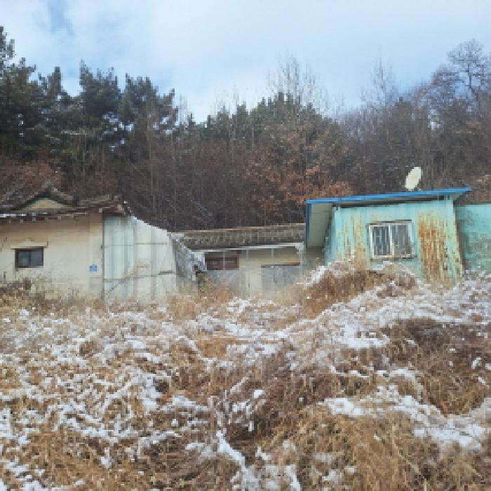 2025타경54154 대지 · 경기도 안산시 단원구 대부남동 1011-1