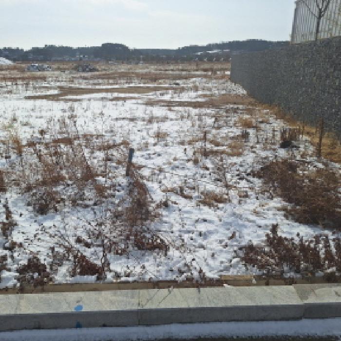 2026타경50049 대지 · 경기도 안산시 단원구 대부동동 1567-395